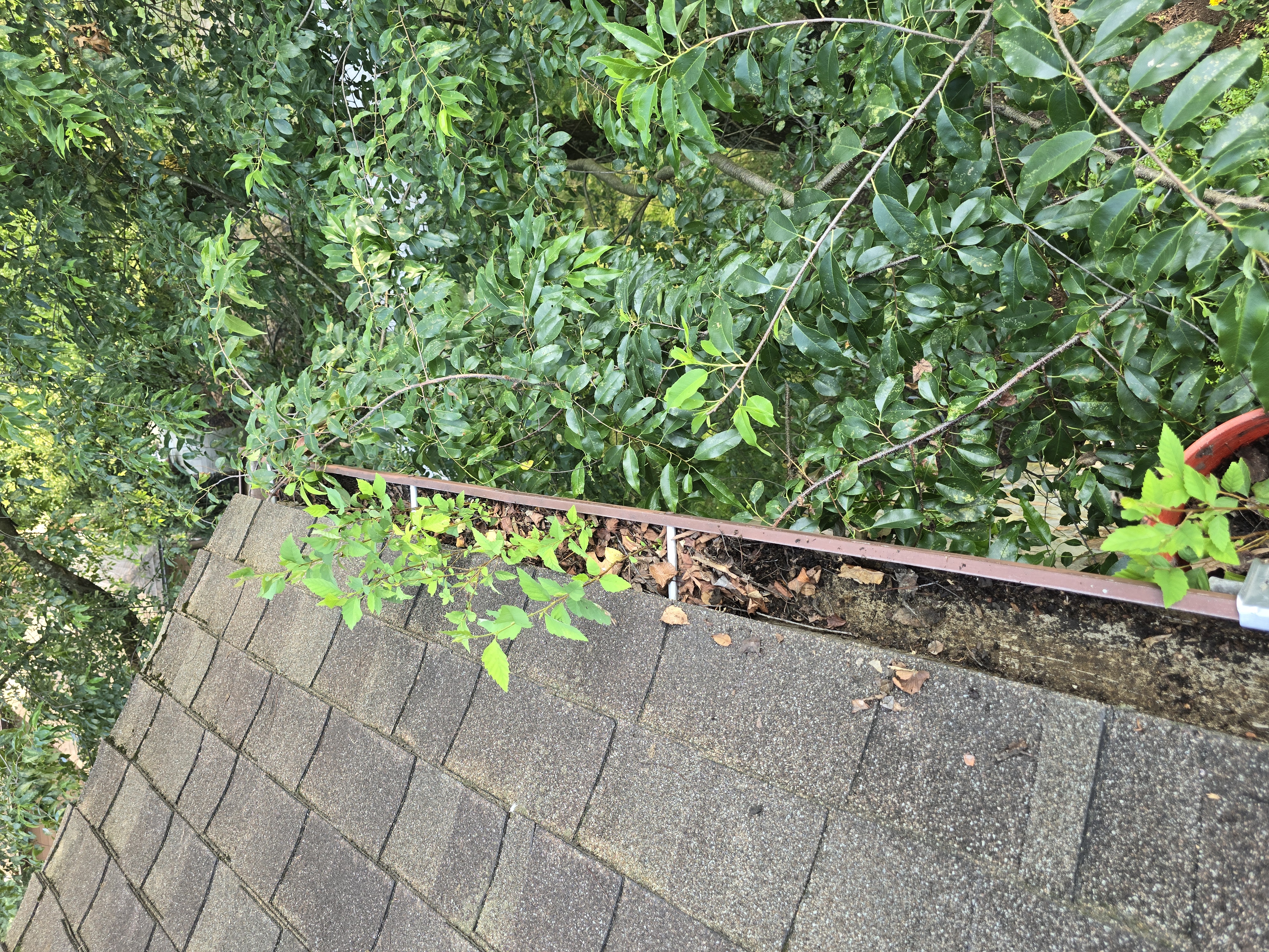 5-inch Gutter Guard Installation in West Chester, PA